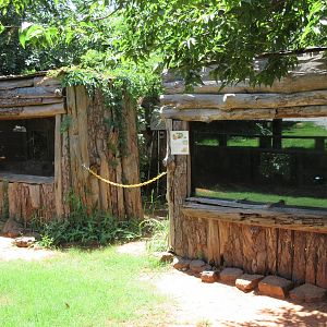 Rabbit + Kinkajou Exhibits