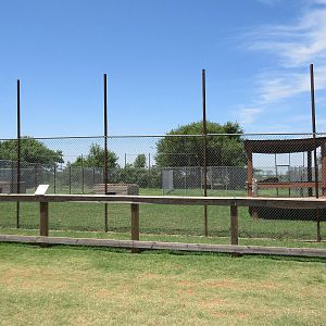 African Lion Exhibit - is that fence high enough?