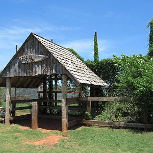 Amur Tiger Exhibit - Viewing Area