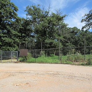 Drive-Through Safari - Striped Hyena Exhibit