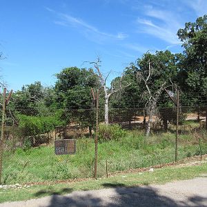 Drive-Through Safari - Empty Exhibit