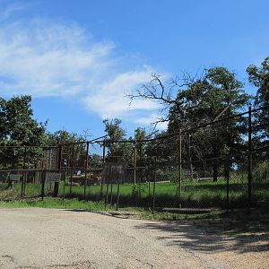 Drive-Through Safari - Empty Exhibit