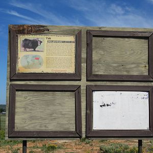 Drive-Through Safari - Typically Terrible Sign