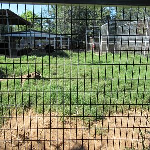 Brown Bear Exhibit