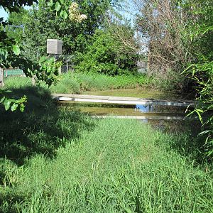 Nile Crocodile Exhibit