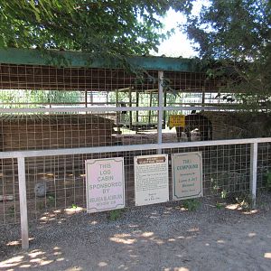 Tiger Exhibits