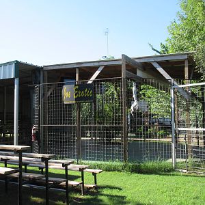 Joe Exotic Presentation Stage