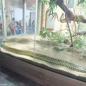 Anaconda Enclosure