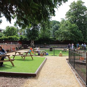 Chester Cathedral Falconry - General view