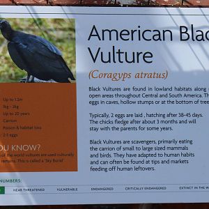 Chester Catherdral Falconry - Signage example