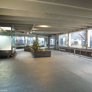 View Inside the Carnivore House