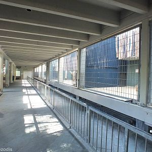View of Carnivore Indoor Enclosures