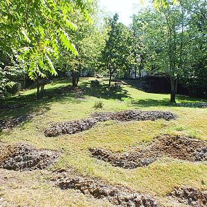 Japanese Serow Enclosure