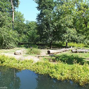 African Hunting Dog Enclosure