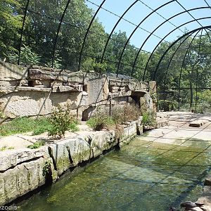 View Inside Wader Aviary
