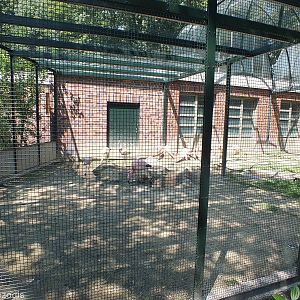 Enclosure for Puna and Andean Flamingos