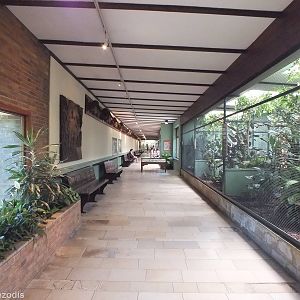 View in the Pheasantry