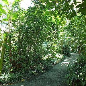 View in the South East Asian Free-flight