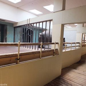 Indian Rhino Indoor Area