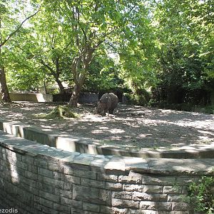 Indian Rhino Outdoor Area