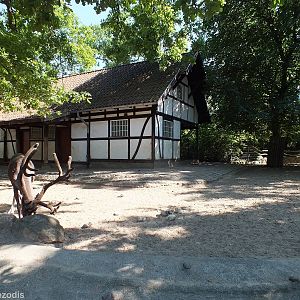 Forest Reindeer Enclosure