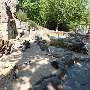 Coypu Enclosure