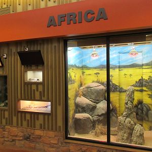 Herpetarium - New in 2009