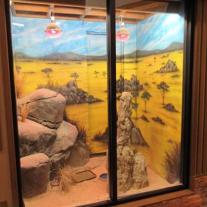 Herpetarium - New in 2009 (Pancake Tortoise Exhibit)