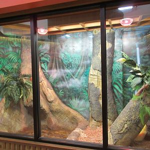 Herpetarium - New in 2009 (Burmese Python Exhibit)