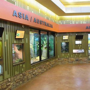 Herpetarium - New in 2009