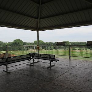 American Bison/Rocky Mountain Elk/Pronghorn Antelope Exhibit