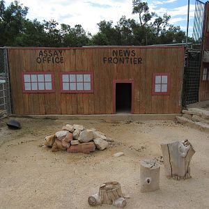 Barnyard Zone - Goat Exhibit