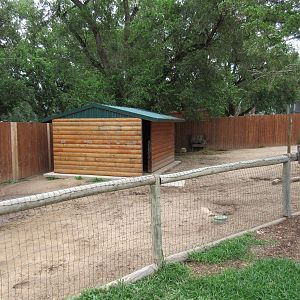 Miniature Donkey Exhibit