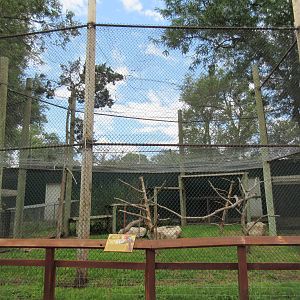 Green-Winged Macaw Exhibit