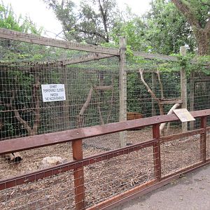 Red Fox Exhibit (currently empty)