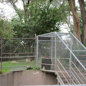 American Black Bear Exhibit - bears have to climb stairs to enter main exhi