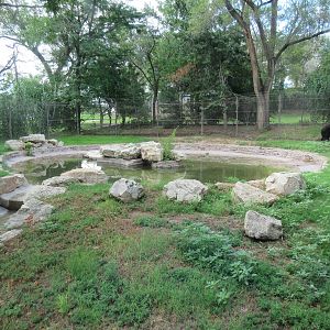 American Black Bear Exhibit (only half of the nice habitat)