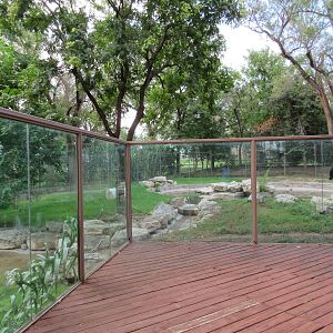 American Black Bear Exhibit