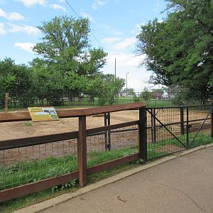 Texas Longhorn Exhibit