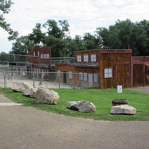Barnyard Zone - Goat Exhibits