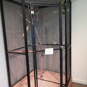 Double Yellow-Headed Amazon Parrot Cage