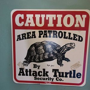 Attack Turtle Sign