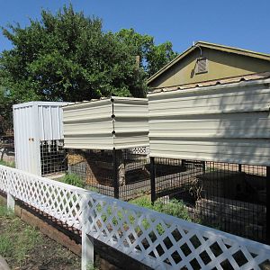 Small Mammal Exhibits (rear view)