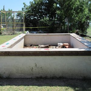 Turtle Exhibit (2 Species)