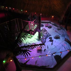 Stingray Bay (from above)