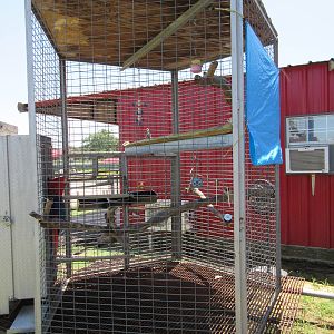 Macaw Exhibit