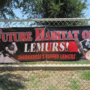 Future Lemur Exhibit - Sign