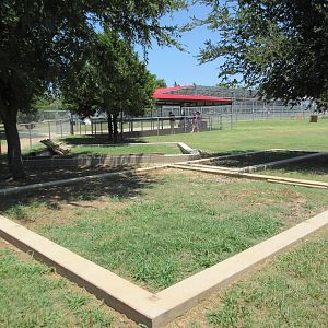 Future Lemur Exhibit