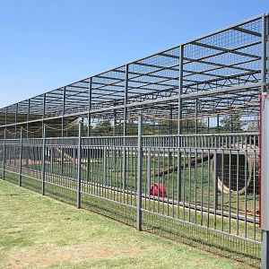 American Black Bear Exhibit