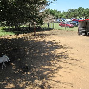 Pony Paddock